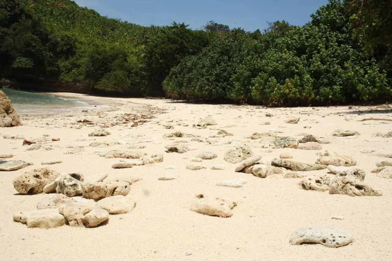Pantai Sawahan Ombo