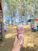 Pantai Gemah